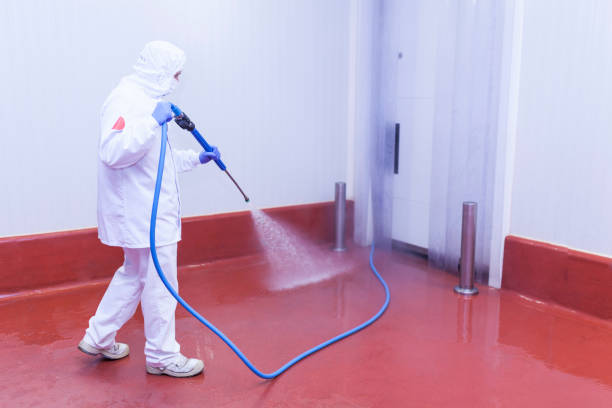 Best Spring Cleaning  in Mammoth Lakes, CA