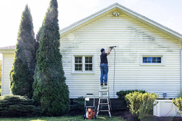 Best Fence Cleaning  in Mammoth Lakes, CA
